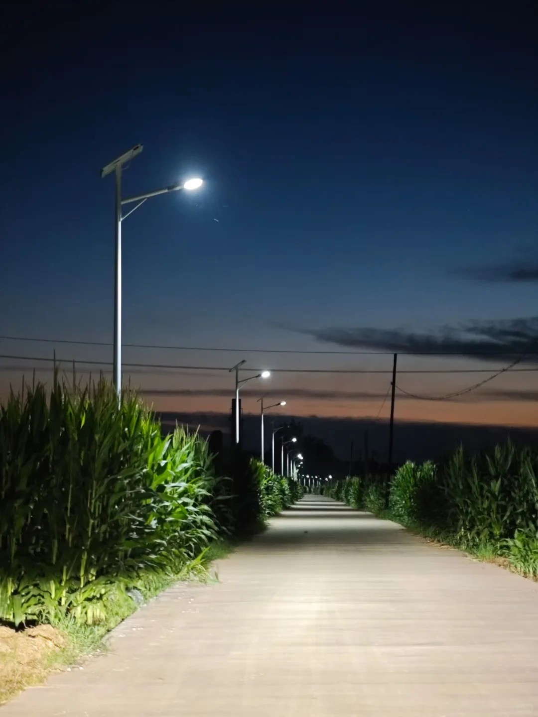 谁说农村没有夜景啊！夜景模式_3_拓野之光-专业户外景观灯具定制厂家_来自小红书网页版