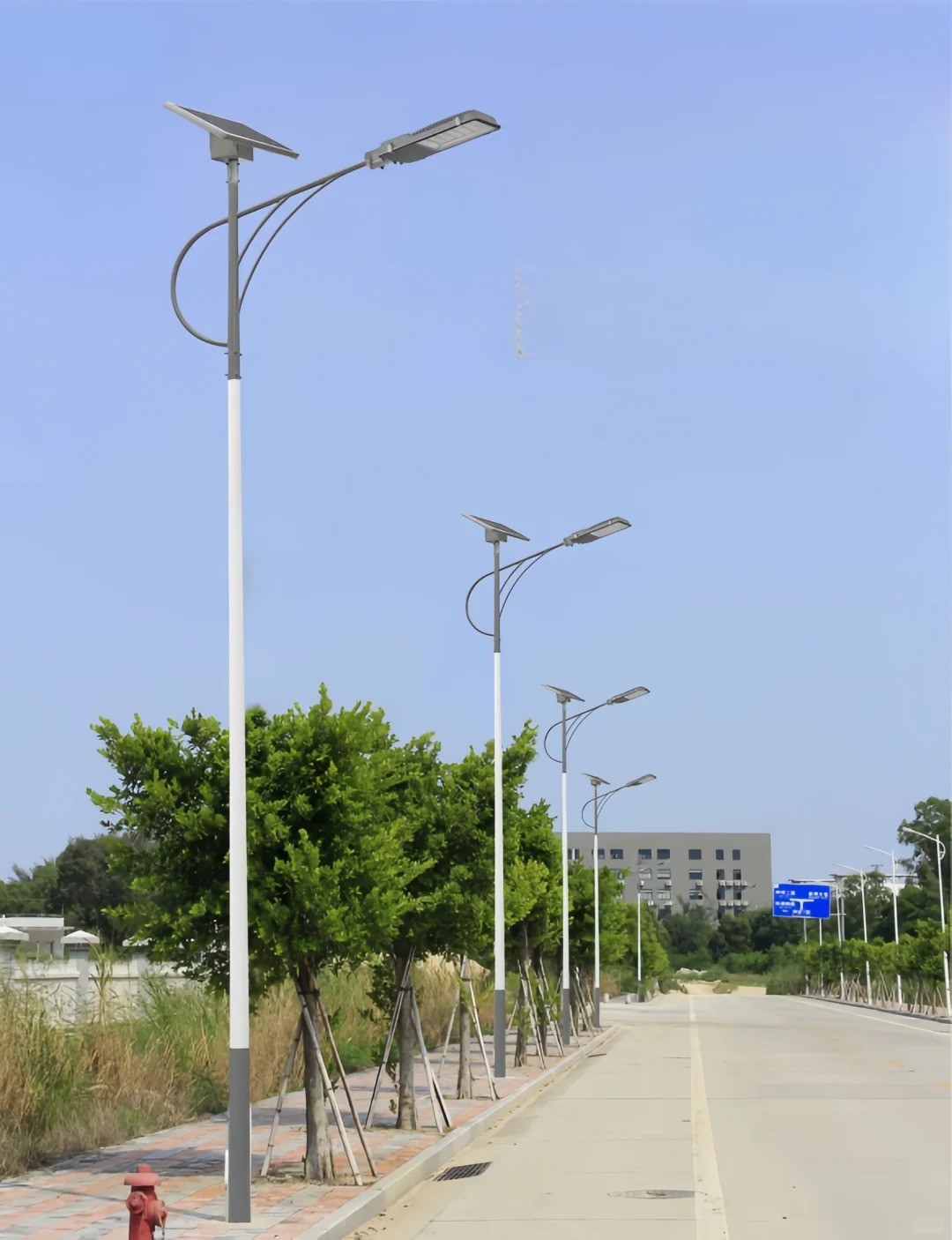 市政太阳能路灯_1_老姜景观路灯_来自小红书网页版