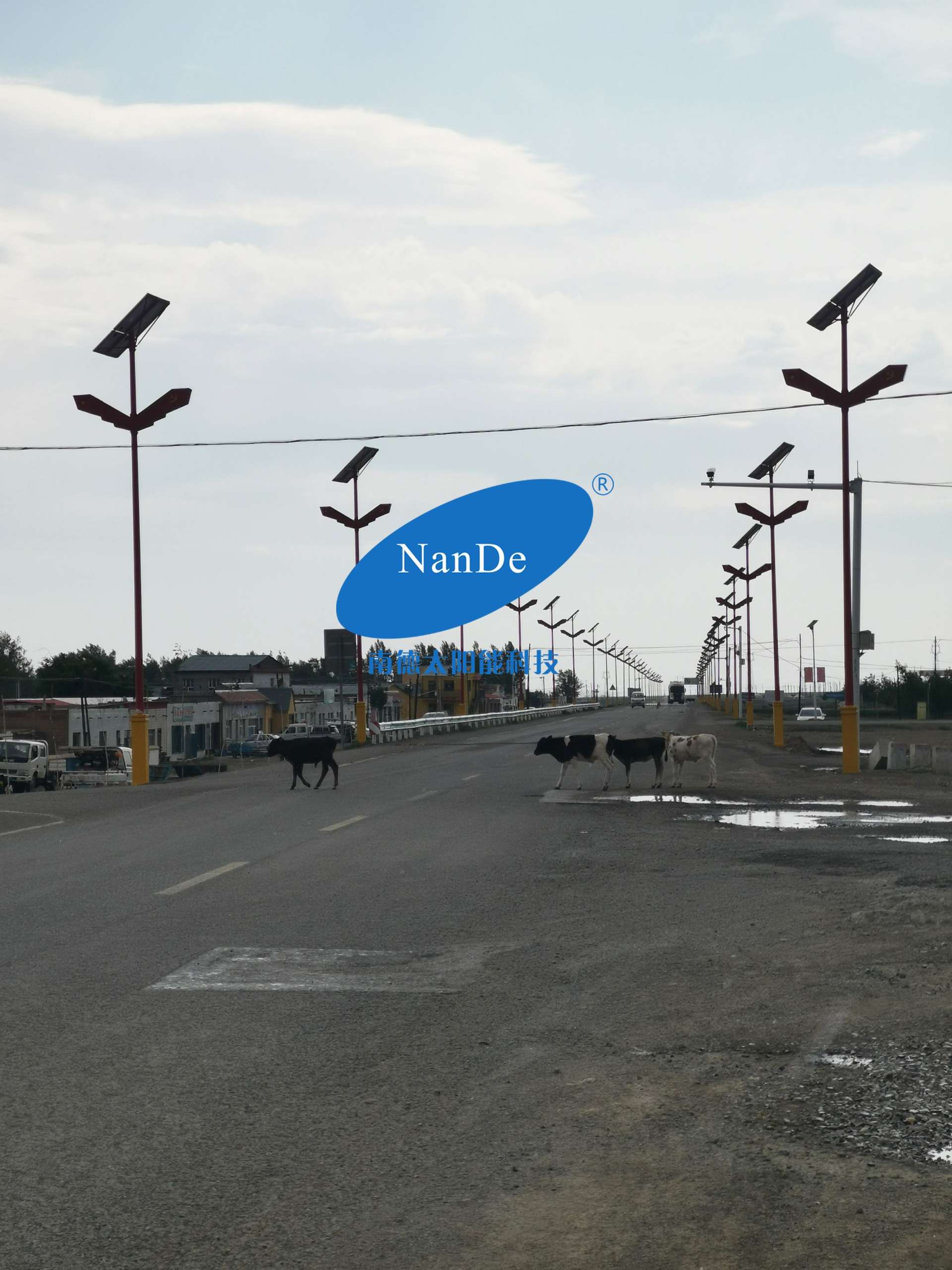 mmexport1564720752791