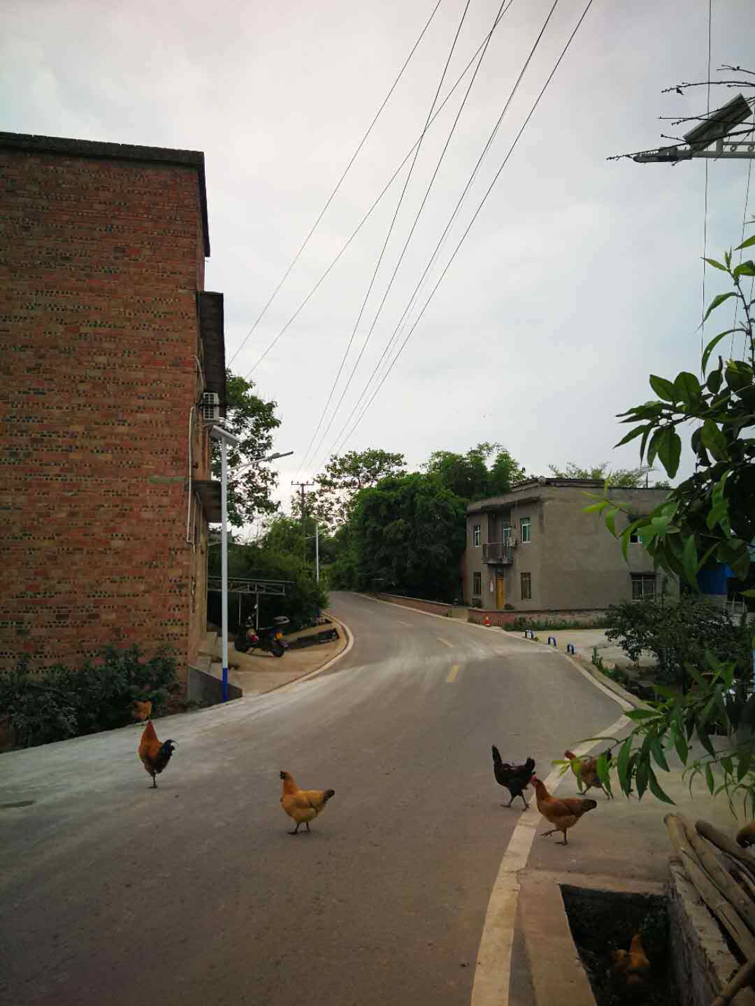 微信图片_20200615112039