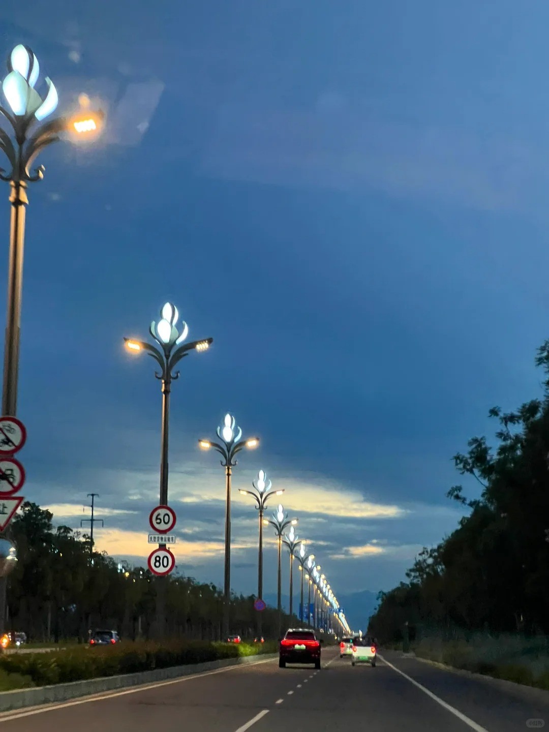 🌆下班路上的治愈瞬间 _ 这路灯也太浪漫了_1_用锅刷钢丝球_来自小红书网页版